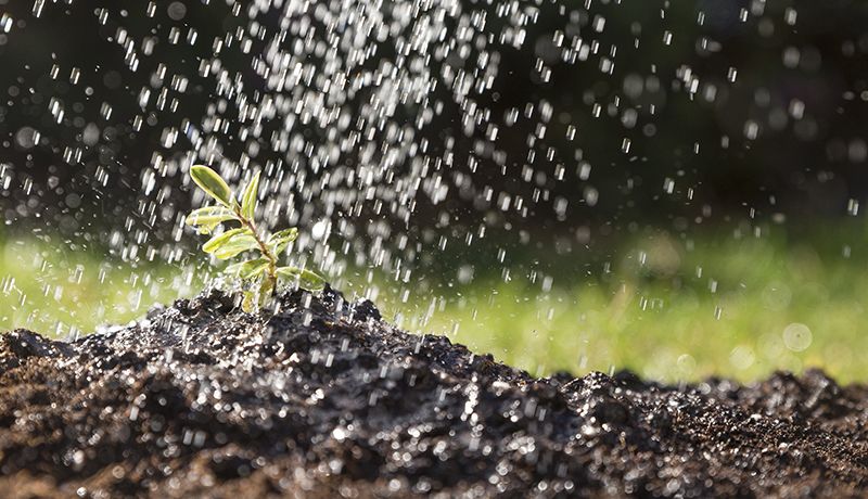 come realizzare un impianto di irrigazione interrato per il giardino